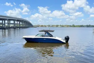 Thumbnail von Sea Ray SDX 270 Outboard