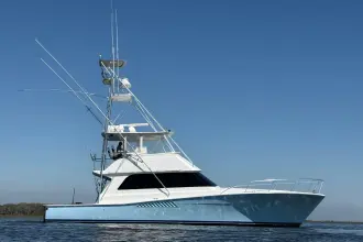 Thumbnail von Viking 50 Convertible "Dock Fee"