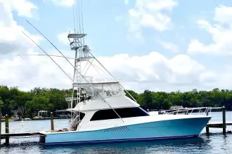 Thumbnail von Viking 50 Convertible "Dock Fee"