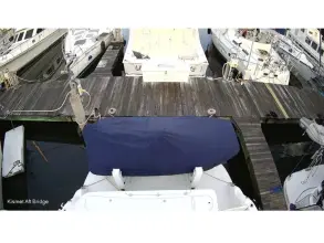 Thumbnail von Sea Ray 52 Sedan Bridge