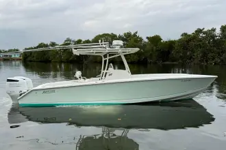 Jupiter 29 FS