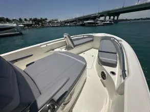 Thumbnail von Boston Whaler 280 Dauntless