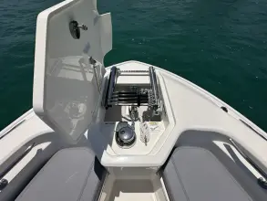 Thumbnail von Boston Whaler 280 Dauntless