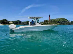 Thumbnail von Boston Whaler 280 Dauntless