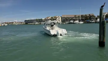 Thumbnail von Boston Whaler 305 Conquest
