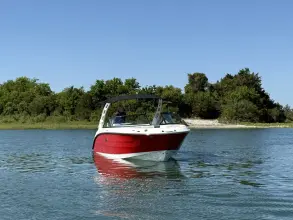 Thumbnail von Sea Ray SDX 250 Outboard