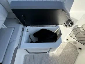 Thumbnail von Sea Ray SDX 250 Outboard