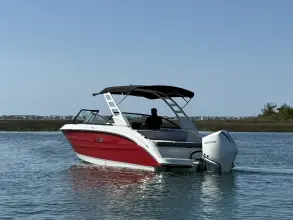 Thumbnail von Sea Ray SDX 250 Outboard