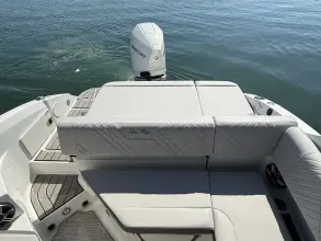 Thumbnail von Sea Ray SDX 250 Outboard