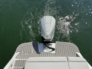 Thumbnail von Sea Ray SDX 250 Outboard