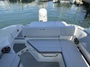 Thumbnail von Sea Ray SDX 250 Outboard