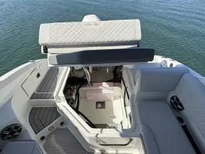 Thumbnail von Sea Ray SDX 250 Outboard