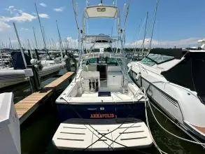 Thumbnail von Tiara Yachts 3200 Open
