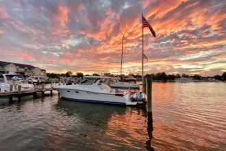 Thumbnail von Tiara Yachts 3600 Open