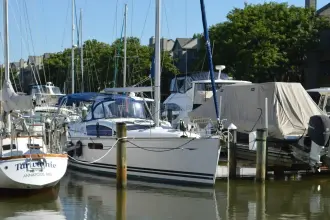 Thumbnail von Jeanneau Sun Odyssey 45 DS