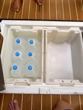 Thumbnail von Jeanneau Sun Odyssey 45 DS