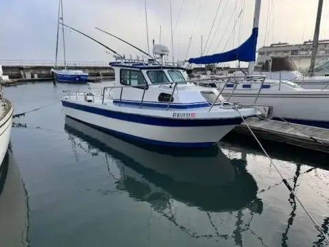 Radon Signature 26 Miss Caroline