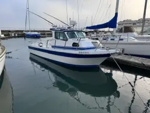 Radon Signature 26 Miss Caroline