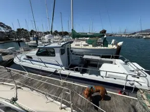 Thumbnail von Radon Signature 26 Miss Caroline