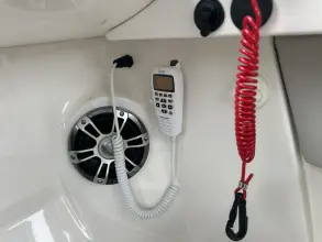 Thumbnail von Sea Ray SDX 290 Outboard