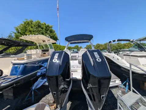 Sea Ray sea ray