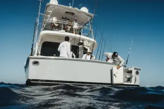Thumbnail von Bertram 61 Convertible