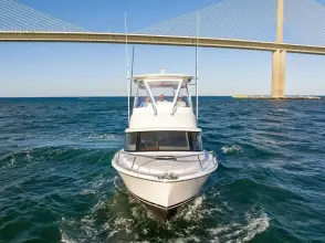 Thumbnail von Bertram 35 Flybridge