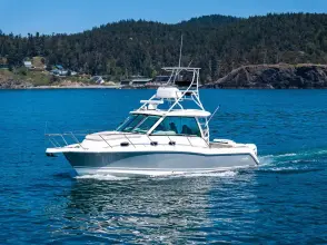 Boston Whaler 345 Conquest BARB
