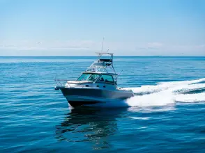 Thumbnail von Boston Whaler 345 Conquest BARB