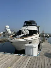 Thumbnail von Carver 396 Motor Yacht