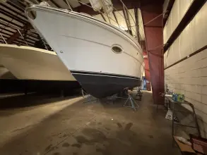 Thumbnail von Carver 396 Motor Yacht