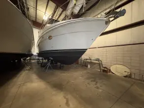 Thumbnail von Carver 396 Motor Yacht