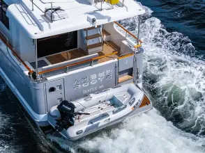 Thumbnail von Beneteau Swift Trawler 50