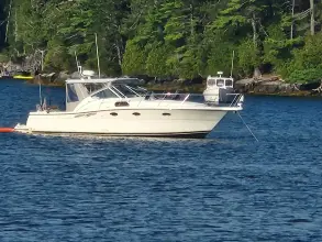 Thumbnail von Tiara Yachts 3500 Open CRAZY LOVE