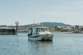 Thumbnail von C Dory Tomcat 255 Pilothouse
