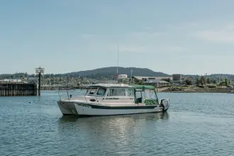 Thumbnail von C Dory Tomcat 255 Pilothouse
