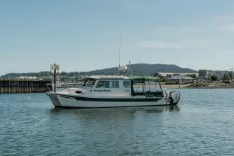 Thumbnail von C Dory Tomcat 255 Pilothouse