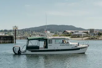 Thumbnail von C Dory Tomcat 255 Pilothouse