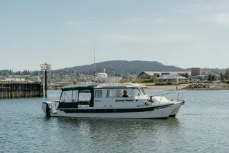 Thumbnail von C Dory Tomcat 255 Pilothouse