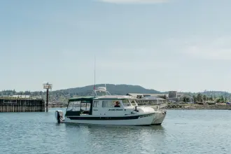Thumbnail von C Dory Tomcat 255 Pilothouse