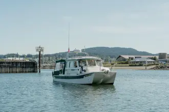 Thumbnail von C Dory Tomcat 255 Pilothouse