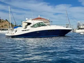 Sea Ray 480 Sundancer Rogue