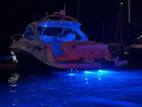 Thumbnail von Sea Ray 480 Sundancer Rogue