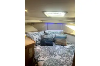 Thumbnail von Carver 430 Cockpit Motor Yacht