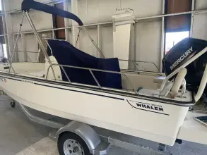 Thumbnail von Boston Whaler 250 Dauntless