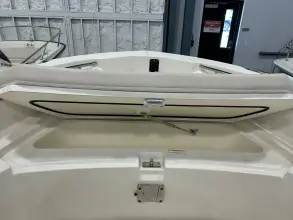 Thumbnail von Boston Whaler 220 Dauntless