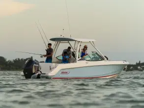 Thumbnail von Boston Whaler 210 Vantage