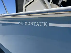 Thumbnail von Boston Whaler 210 Montauk