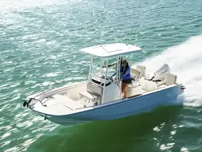 Thumbnail von Boston Whaler 210 Montauk