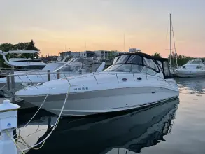 Thumbnail von Sea Ray 340 Sundancer